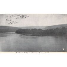 Vtg Postcard Looking Up The Potomac River Frederick MD Posted 1912 picture