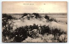 1950s DURHAM NC SAND DUNES AND SEA ARTIST DRAWING POSTCARD P3579 picture