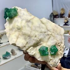 3.57LB Rare transparent GREEN cubic fluorite mineral crystal sample/China picture