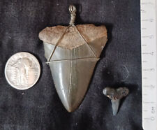 Great White/Megalodon Shark 2 Tooth/Teeth Fossil Necklace Pendant/Charm 54mm19mm picture
