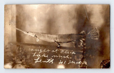 RPPC  1910. SWORD FISH CAUGHT AT BLACK LAKE, MICH. 41 INCHES. POSTCARD L28 picture