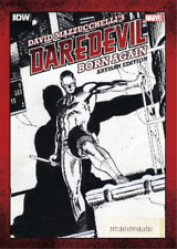 David Mazzucche David Mazzucchelli’s Daredevil Born Again Artisan Ed (Paperback) picture