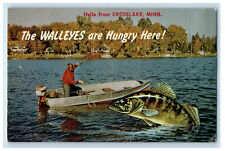 1969 Giant Walleyes Fish, Motorboat, Hello from Crosslake MN Postcard picture