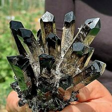 New Find black Phantom Quartz Crystal Cluster Mineral Specimen Healing  picture