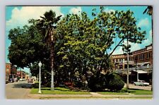 Avon Park FL-Florida, The Mall Looking West, Antique Souvenir Vintage Postcard picture