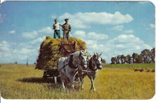 CO-436 NY Rochester Bringing in the Hay Chrome Postcard Dexter Press Farming picture