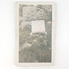 Our Darling Died Grave Photo 1940s Cemetery Graveyard Found Snapshot Photo D1729 picture