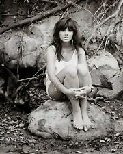 Linda Ronstadt Stone Poneys 8 x 10 Musician Picture Print Photograph Photo a757 picture