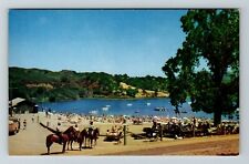 Woodside CA-California, Searsville Lake & Park  Vintage Souvenir Postcard picture