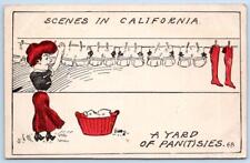 SCENES IN CALIFORNIA YARD OF PANTIES PANSIES CLOTHESLINE COMIC FREDDIES POSTCARD picture