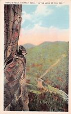 Asheville NC Chimney Rock Blue Ridge Mtns Devils Head Hickory Vtg Postcard C66 picture