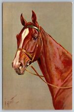 Rivst Artist Signed Thoroughbred Horse Swiss Harnessed Postcard P2 picture