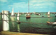 Postcard Ships Warming Up For Races Rockport Harbor Cape Ann Massachusetts MA picture