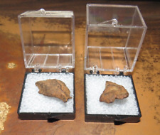 pair of Egypt Gebel Kamil Iron meteorites complete individuals WITH DISPLAY CASE picture