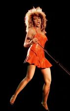 Tina Turner   8x10 Glossy Photo picture