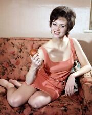 Gabrielle Drake Leggy Early 70's Rare 24x36 inch Poster picture