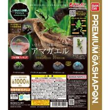 Bandai Ikimono Encyclopedia Advance Tree Frog set of 4PCS Capsule Toys picture