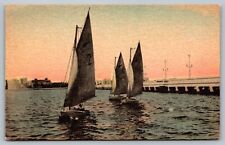 Postcard Yachting In Florida Hand Colored Boating Sailing 3 Sail Boats Causeway picture