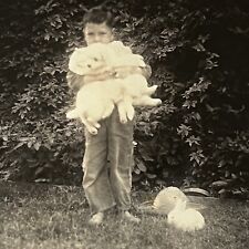 Vintage B&W Snapshot Photograph Adorable Boy Holding Bunny Rabbit San Antonio TX picture