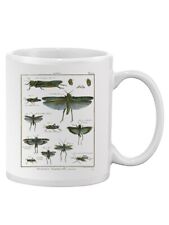 Insects Encyclopedia Mug - Denis Diderot Designs picture