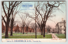 Postcard Advertising L. Schlehuber Jr. Shoes in Titusville, PA Cross Shoes picture