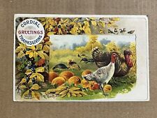 Postcard Thanksgiving Turkey Pumpkin Leaves Artist R. Veentliet 1909 S. Garre picture