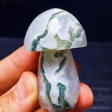Rare 81G Natural Polished Moss Agate mushroom Agate Crystal Healing L1979 picture