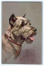 c1930's Pinscher Schnauzer Dog Portrait J. Rivst Artist Signed Vintage Postcard picture