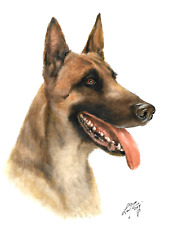 ✤ Original Oil Dog Portrait Painting BELGIAN SHEEPDOG Artist Signed Artwork Art picture