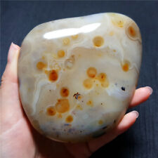 TOP 242.7 G Natural Polished Aquatic Plants Agate Crystal Madagascar YO793 picture
