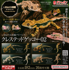 BANDAI Ikimono Daizukan Advanced crested gecko 02 Figure 4 Set Gashapon picture