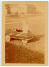 Vintage Photo 1951, Cute boy in Toy Car, on Lawn, 5x3.5 picture