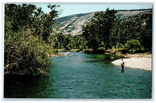 c1960's Fishing The Boulder River Ranch Mcleod Montana MT Vintage Postcard picture
