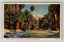 Palm Springs CA-California, Along The Stream, Palm Canyon, Vintage Postcard picture