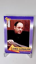 2003 Celebrity Review Rookie Review James Gandolfini Actor Card #15 Sopranos picture
