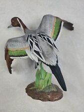 Homco Masterpiece Collection Porcelain Pintail Drake Duck 1989 Very Life Like picture