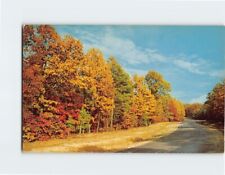 Postcard Autumn Scene Greetings from Pawling New York USA picture