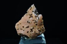 Rhodochrosite / 4.7cm Mineral Specimen / Santa Eulalia, Mexico picture