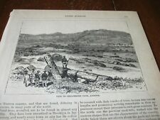 1887 Art Print Engraving - PETRIFIED FOREST Wood in CHALCEDONY PARK ARIZONA AZ picture