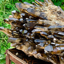 78LB Natural Beautiful Black Quartz Crystal Cluster Mineral Specimen picture