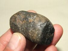 Late Triassic/Jurassic Marine Coprolite-Visible Scales-South Wales, UK picture