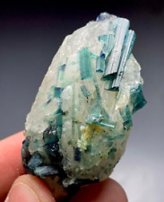 262 Cts Beautiful Blue Tourmaline (indicolite) Crystal Specimen With Quartz picture