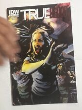 2013 IDW TRUE BLOOD: #13 COMIC BOOK | Combined Shipping B&B picture