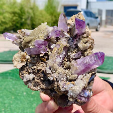 349G Natural Cruze Crystal Transparent Amethyst Cluster Mineral Specimen-Mexico picture