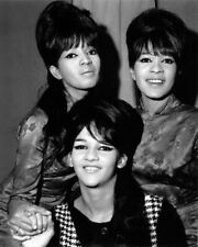 The Ronettes Ronnie Spector Estelle Bennett & Nedra Talley 24x36 Poster picture