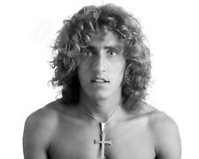 Roger Daltrey The WHO Portrait No Shirt Who Are You 8x10 Photo picture