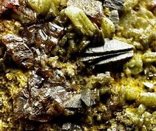 107 Gm Full Terminated Rare Shape Anatase With Garnet Crystals On Matrix @pak picture