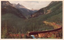 Yoho National Park British Columbia Canada Vtg Postcard CP359 picture