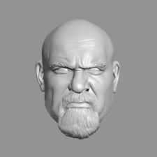 Bill Goldberg v1 WWE WWF Wrestlemania Royal Rumble custom head for action figure picture