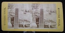 Antique Late 1800's Stereo View Huge Tree Trunk w People on Top Yosemite Valley picture